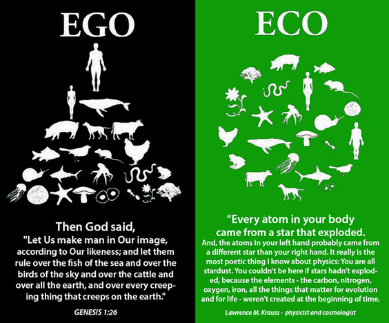 EGO vs ECO - Sustainability